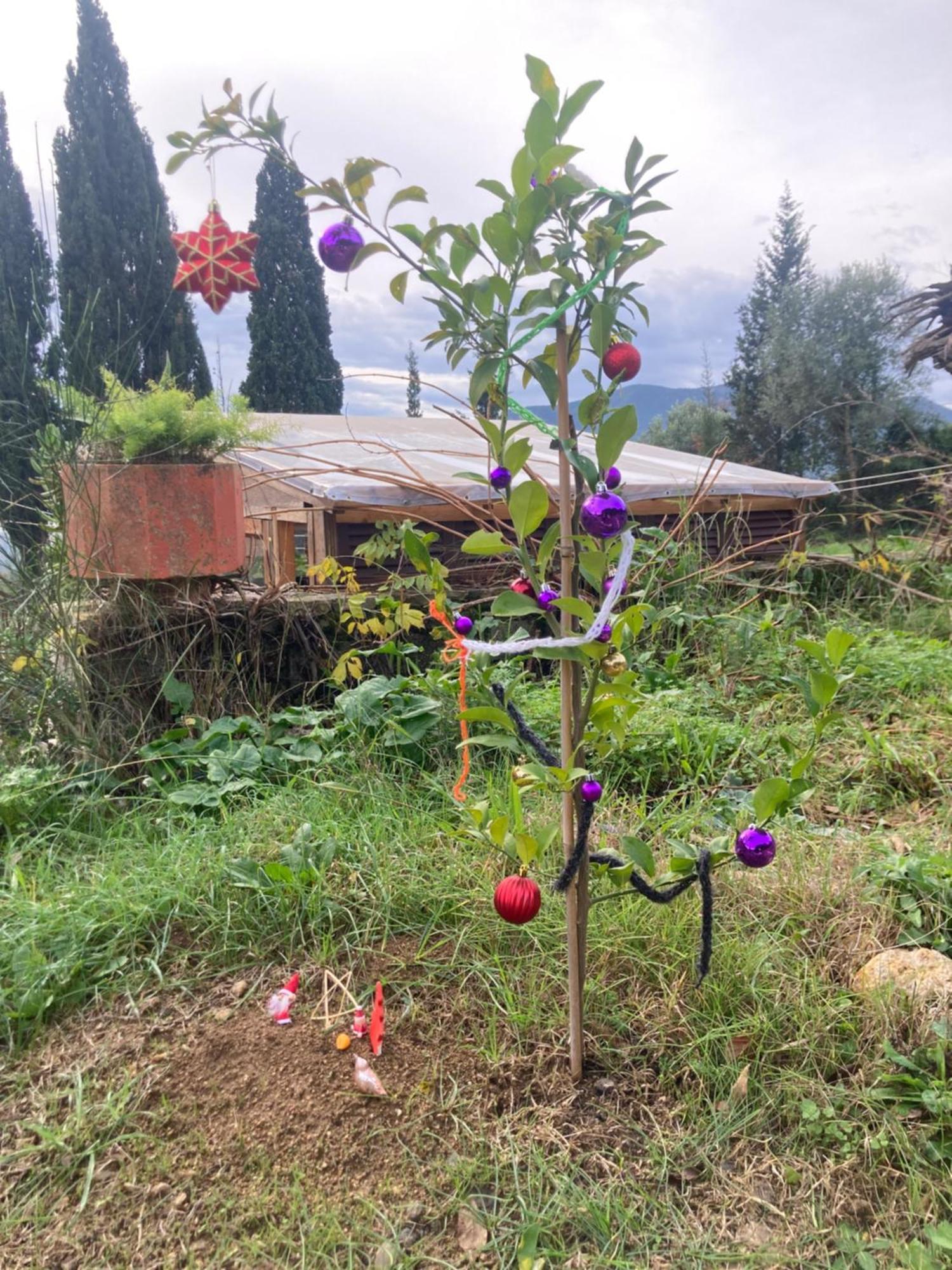 Kokkini Peach Budget Kokkínion Εξωτερικό φωτογραφία